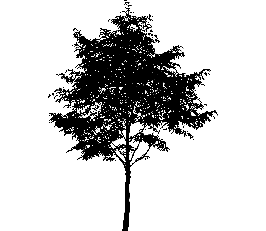 png clipart tree silhouette nature tree leaf landscape