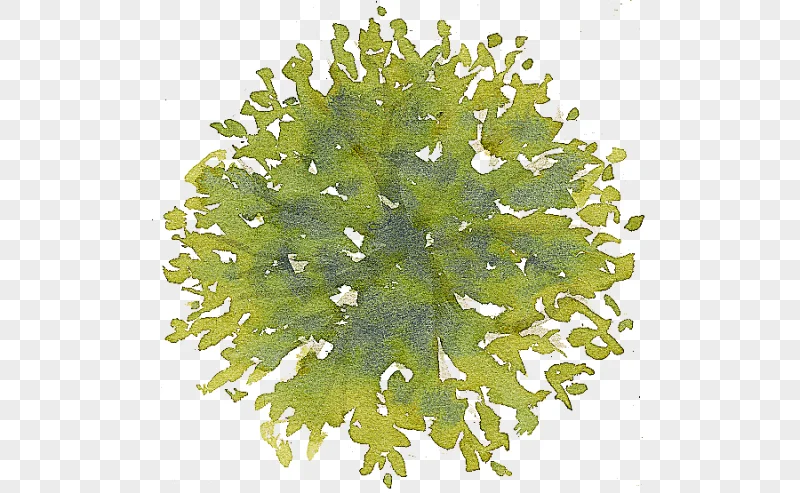 png clipart tree site plan drawing tree top green and yellow abstract art painting miscell