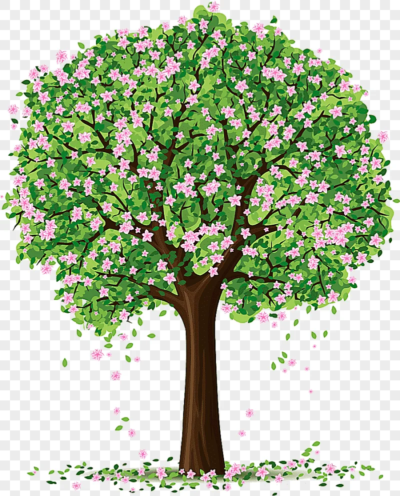 png clipart tree spring spring trees s branch plant stem