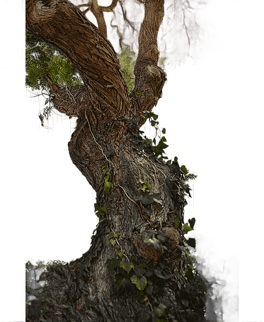 png clipart tree stump trunk wood tree branch arborist