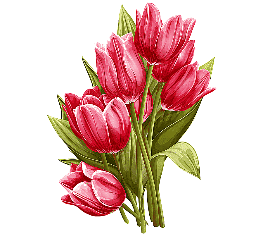 png clipart tulip flower watercolor painting hand painted tulip flower arranging painted
