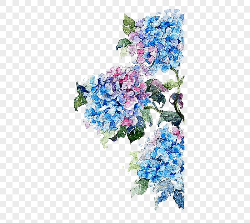 png clipart watercolor painting flower drawing watercolor flowers painting of blue and pin