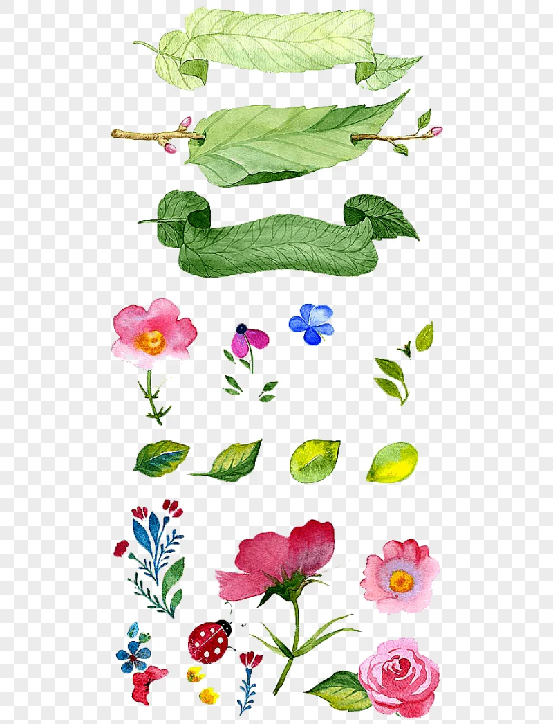 png clipart watercolor painting flower illustration hand painted flowers leafs and flowers