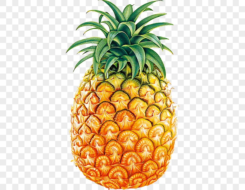 png clipart yellow pineapple illustration juice pineapple fruit natural foods food