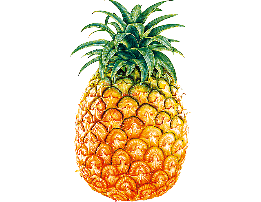 png clipart yellow pineapple illustration juice pineapple fruit natural foods food